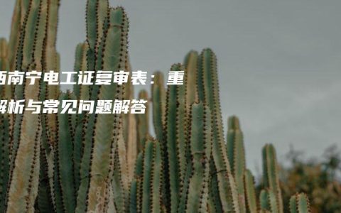 广西南宁电工证复审表：重点解析与常见问题解答