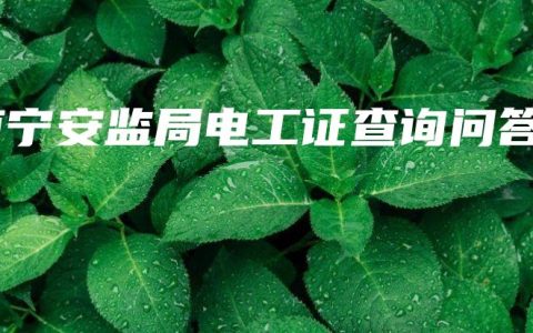 南宁安监局电工证查询问答