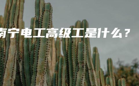 南宁电工高级工是什么？