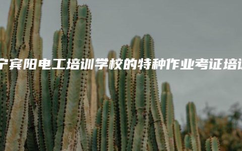 南宁宾阳电工培训学校的特种作业考证培训