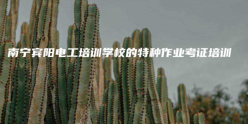 南宁宾阳电工培训学校的特种作业考证培训插图