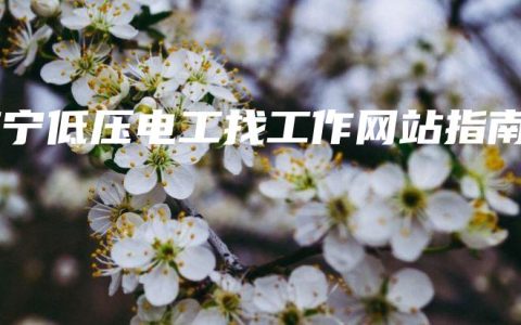 南宁低压电工找工作网站指南