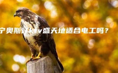 南宁奥斯汀ktv盛天地适合电工吗？