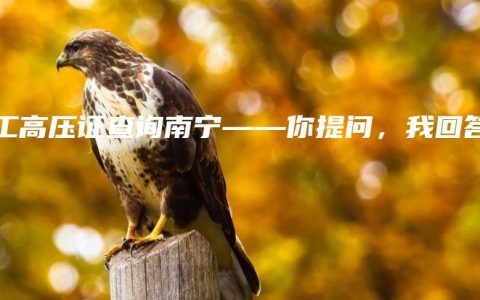 电工高压证查询南宁——你提问，我回答