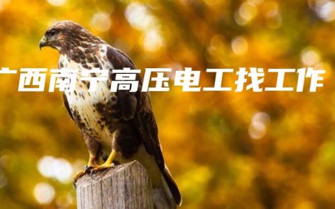 广西南宁高压电工找工作