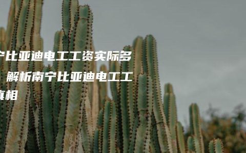 南宁比亚迪电工工资实际多少？解析南宁比亚迪电工工资真相