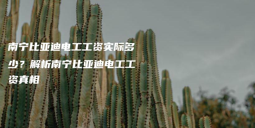南宁比亚迪电工工资实际多少？解析南宁比亚迪电工工资真相插图