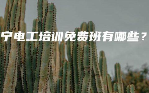 南宁电工培训免费班有哪些？