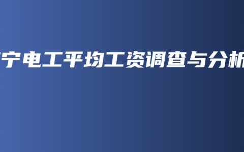 南宁电工平均工资调查与分析