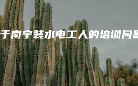 关于南宁装水电工人的培训问题