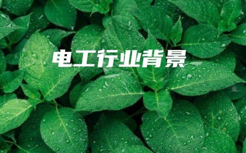 电工行业背景