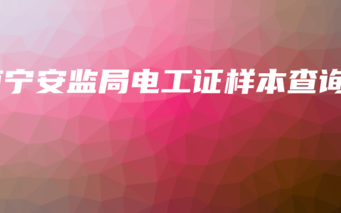 南宁安监局电工证样本查询
