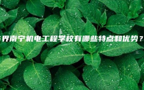 05界南宁机电工程学校有哪些特点和优势？