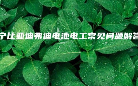 南宁比亚迪弗迪电池电工常见问题解答