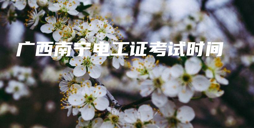 广西南宁电工证考试时间插图