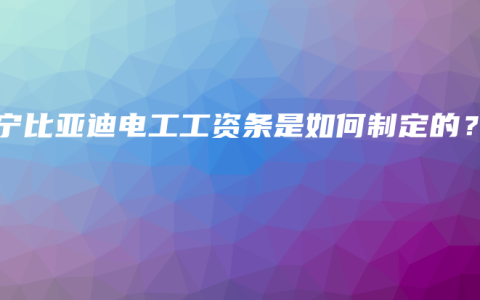 南宁比亚迪电工工资条是如何制定的？