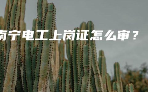 南宁电工上岗证怎么审？