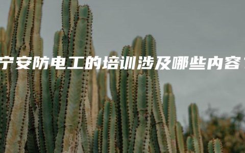南宁安防电工的培训涉及哪些内容？
