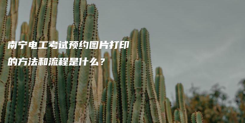 南宁电工考试预约图片打印的方法和流程是什么？插图