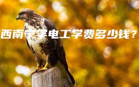 广西南宁学电工学费多少钱？