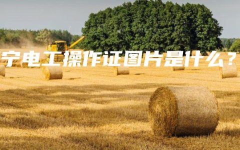 南宁电工操作证图片是什么？