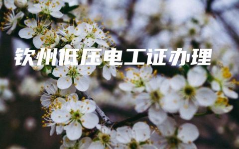 钦州低压电工证办理