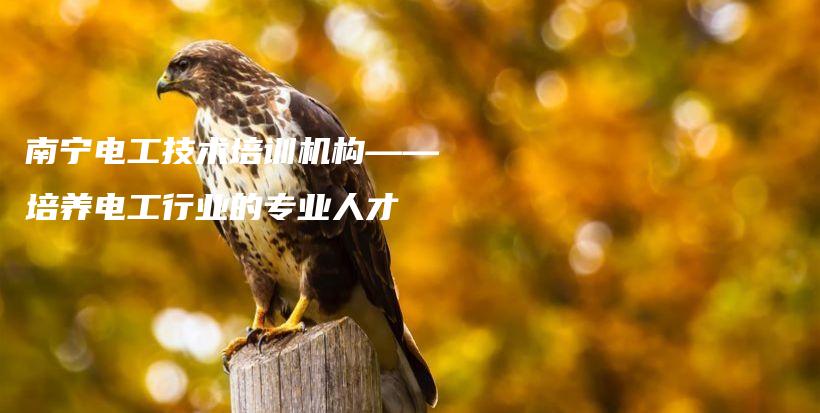 南宁电工技术培训机构——培养电工行业的专业人才插图