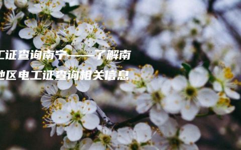电工证查询南宁——了解南宁地区电工证查询相关信息