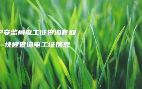南宁安监局电工证查询官网——快速查询电工证信息