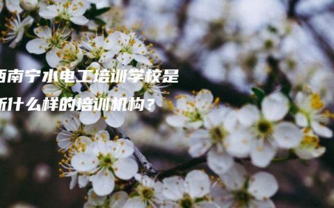 广西南宁水电工培训学校是一所什么样的培训机构？
