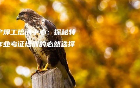 南宁焊工培训中心：探秘特种作业考证培训的必然选择