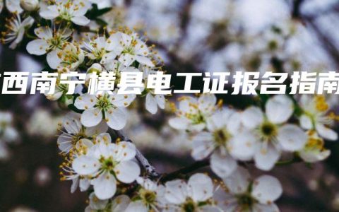 广西南宁横县电工证报名指南
