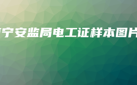 南宁安监局电工证样本图片